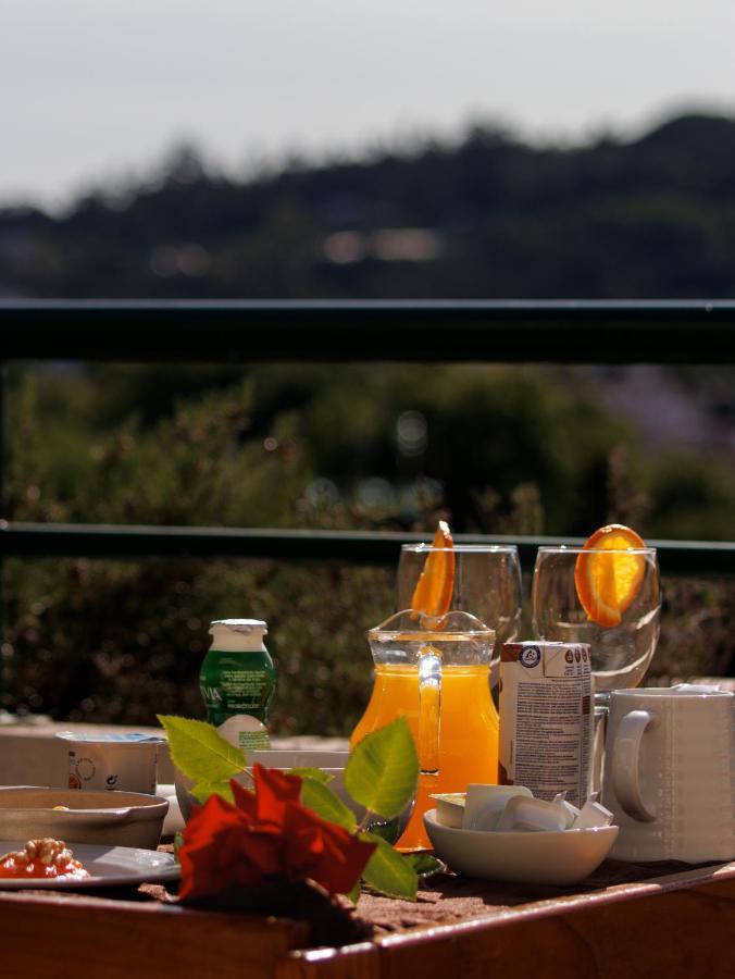 Palace Hotel E Spa Monte Rio Termas de Sao Pedro do Sul Εξωτερικό φωτογραφία