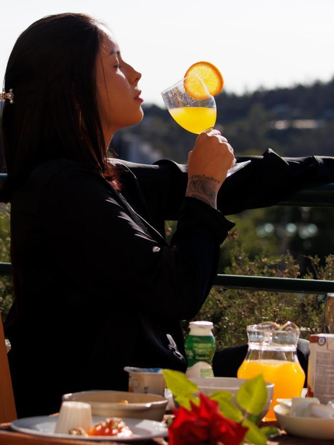 Palace Hotel E Spa Monte Rio Termas de Sao Pedro do Sul Εξωτερικό φωτογραφία