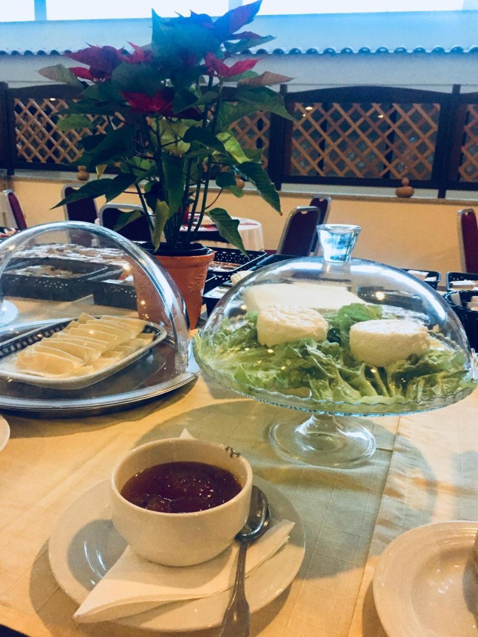 Palace Hotel E Spa Monte Rio Termas de Sao Pedro do Sul Εξωτερικό φωτογραφία